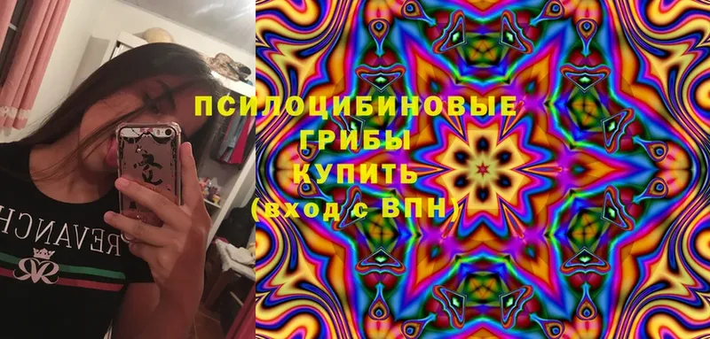 Галлюциногенные грибы Magic Shrooms  Нытва 